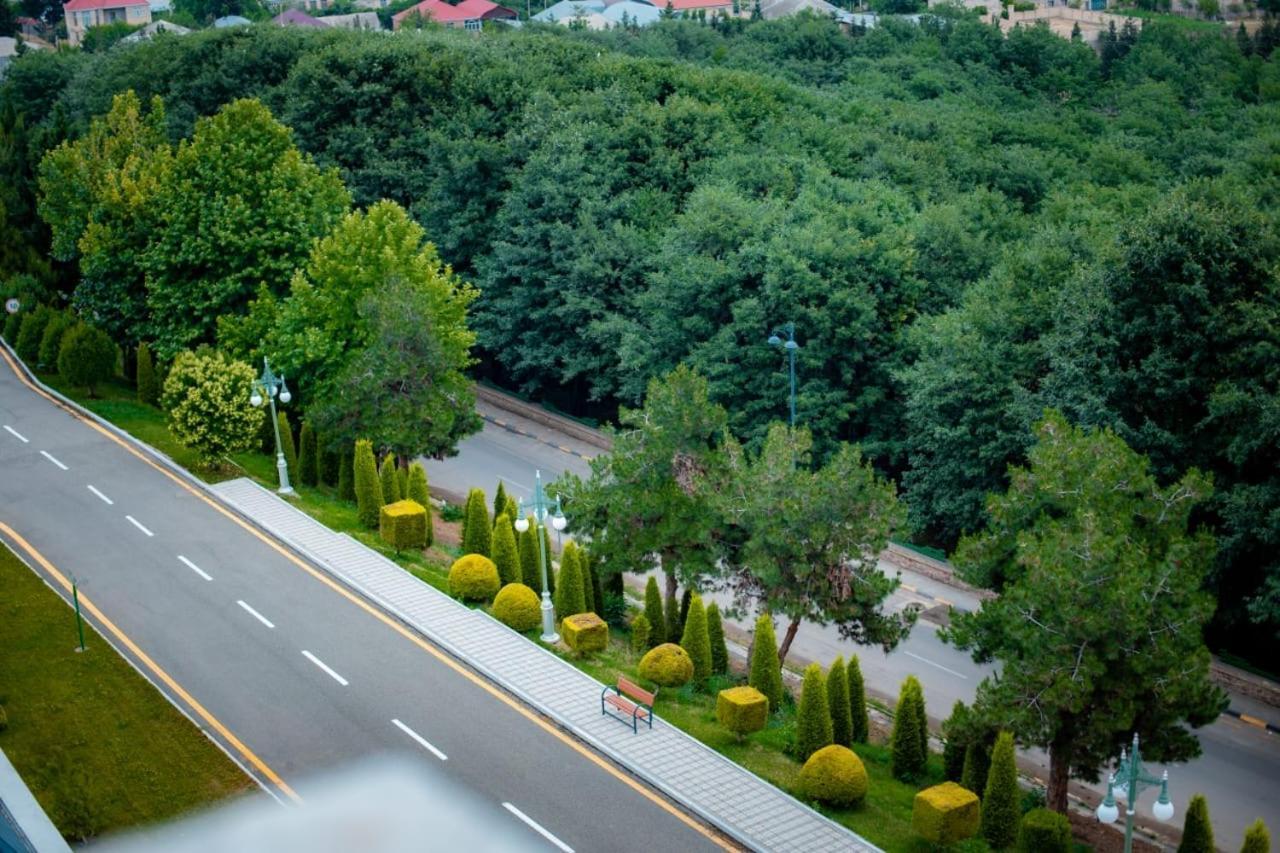 Ayan Palace Hotel Tovuz Eksteriør bilde