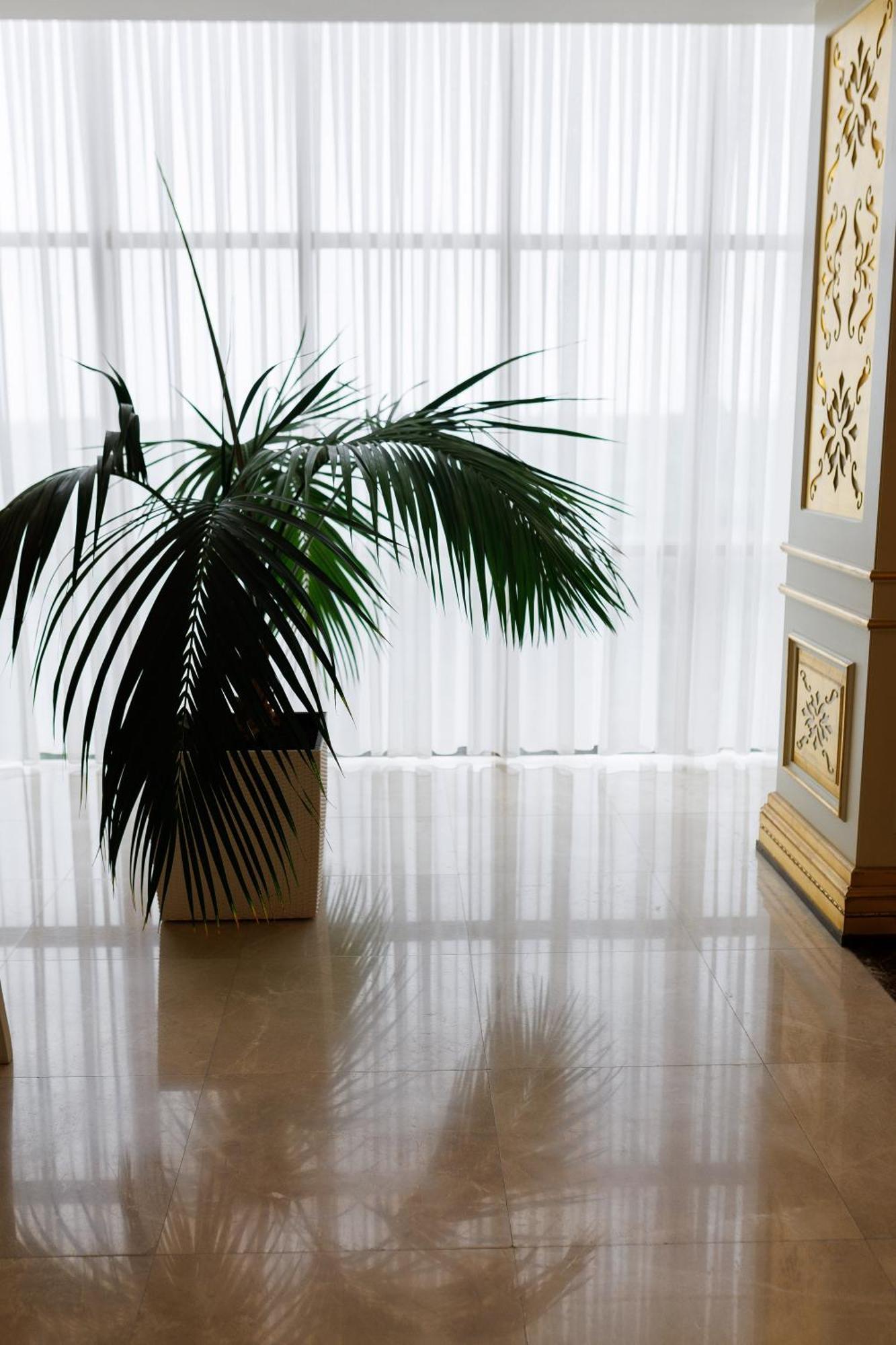 Ayan Palace Hotel Tovuz Eksteriør bilde